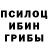 Галлюциногенные грибы Psilocybe Maks 11345