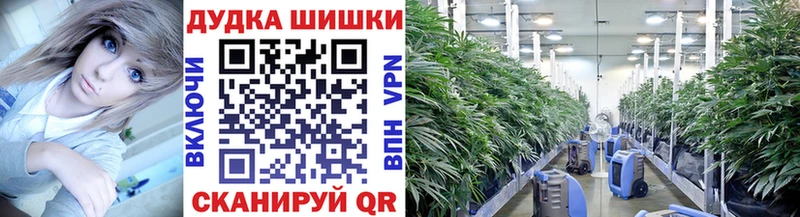 Каннабис конопля  Стрежевой 